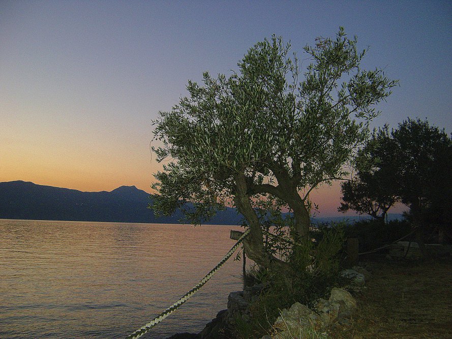 sveta marina